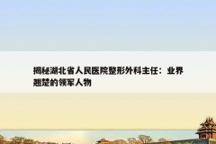 揭秘湖北省人民医院整形外科主任：业界翘楚的领军人物