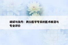 胡斌与徐丹：两位医学专家的医术精湛与专业评价