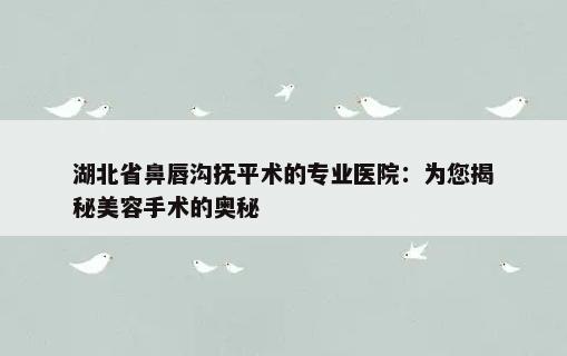 湖北省鼻唇沟抚平术的专业医院：为您揭秘美容手术的奥秘