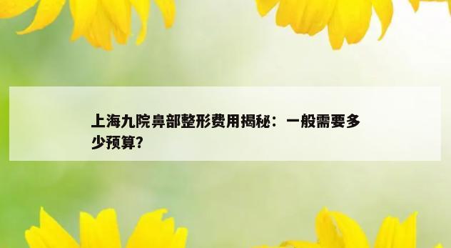 上海九院鼻部整形费用揭秘：一般需要多少预算？