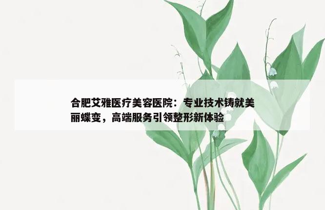 合肥艾雅医疗美容医院：专业技术铸就美丽蝶变，高端服务引领整形新体验