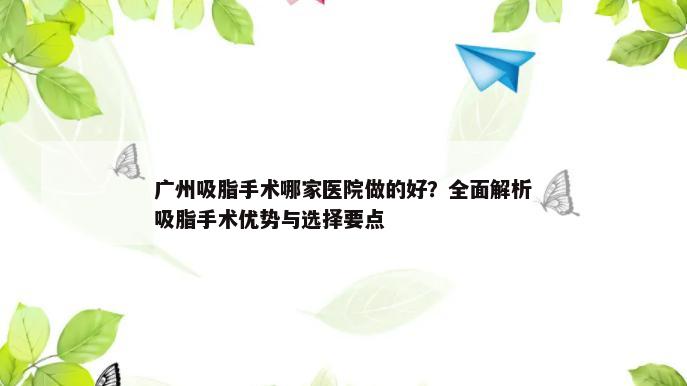 广州吸脂手术哪家医院做的好？全面解析吸脂手术优势与选择要点