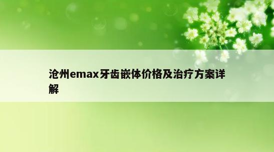 沧州emax牙齿嵌体价格及治疗方案详解