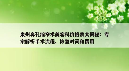 泉州鼻孔缩窄术美容科价格表大揭秘：专家解析手术流程、恢复时间和费用