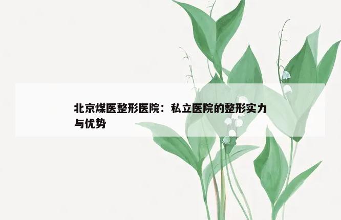 北京煤医整形医院：私立医院的整形实力与优势