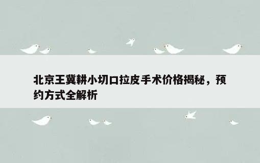 北京王冀耕小切口拉皮手术价格揭秘，预约方式全解析