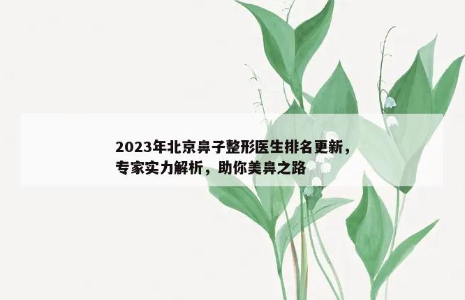 2023年北京鼻子整形医生排名更新，专家实力解析，助你美鼻之路