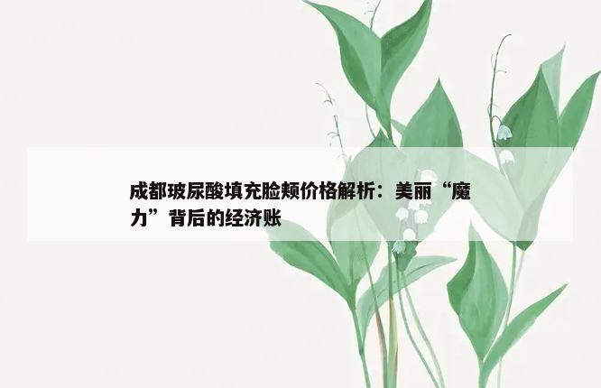 成都玻尿酸填充脸颊价格解析：美丽“魔力”背后的经济账