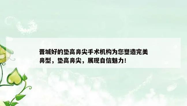 晋城好的垫高鼻尖手术机构为您塑造完美鼻型，垫高鼻尖，展现自信魅力！