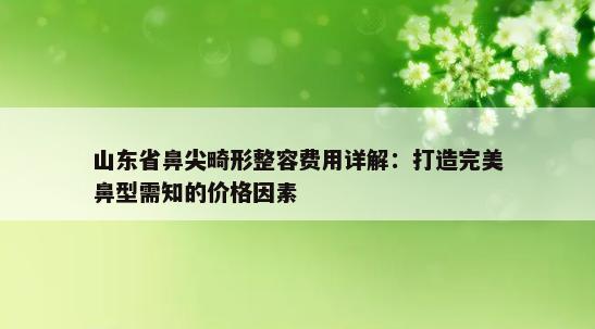 山东省鼻尖畸形整容费用详解：打造完美鼻型需知的价格因素