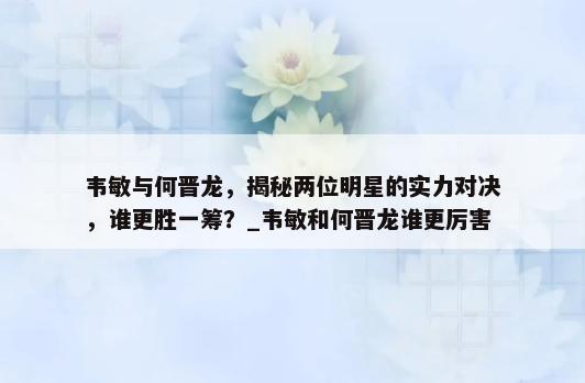 韦敏与何晋龙，揭秘两位明星的实力对决，谁更胜一筹？_韦敏和何晋龙谁更厉害