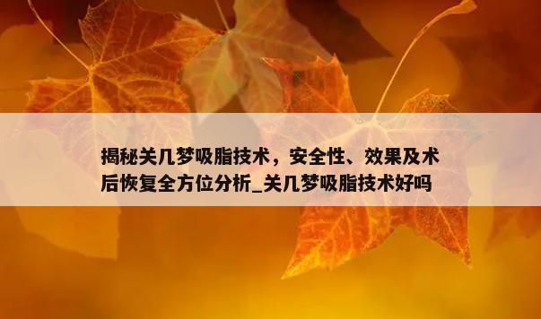 揭秘关几梦吸脂技术，安全性、效果及术后恢复全方位分析_关几梦吸脂技术好吗