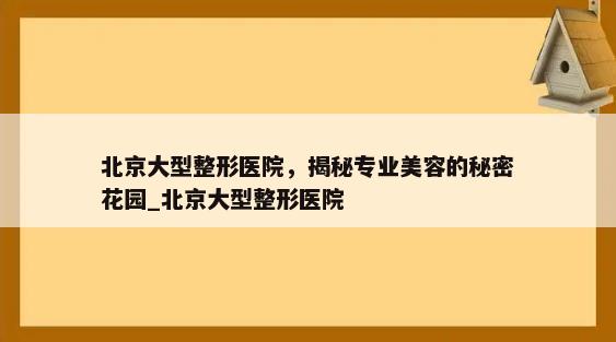 北京大型整形医院，揭秘专业美容的秘密花园_北京大型整形医院