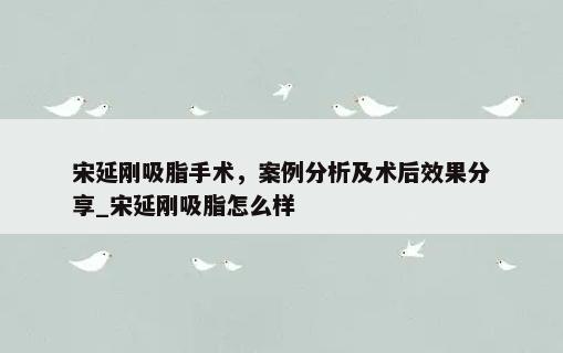 宋延刚吸脂手术，案例分析及术后效果分享_宋延刚吸脂怎么样