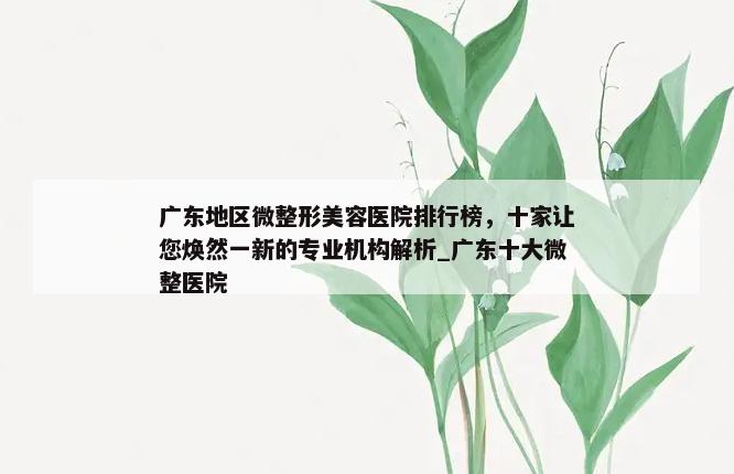 广东地区微整形美容医院排行榜，十家让您焕然一新的专业机构解析_广东十大微整医院