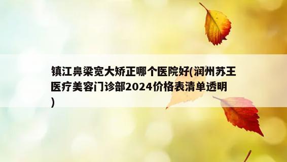 镇江鼻梁宽大矫正哪个医院好(润州苏王医疗美容门诊部2024价格表清单透明)