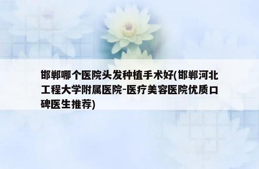 邯郸哪个医院头发种植手术好(邯郸河北工程大学附属医院-医疗美容医院优质口碑医生推荐)